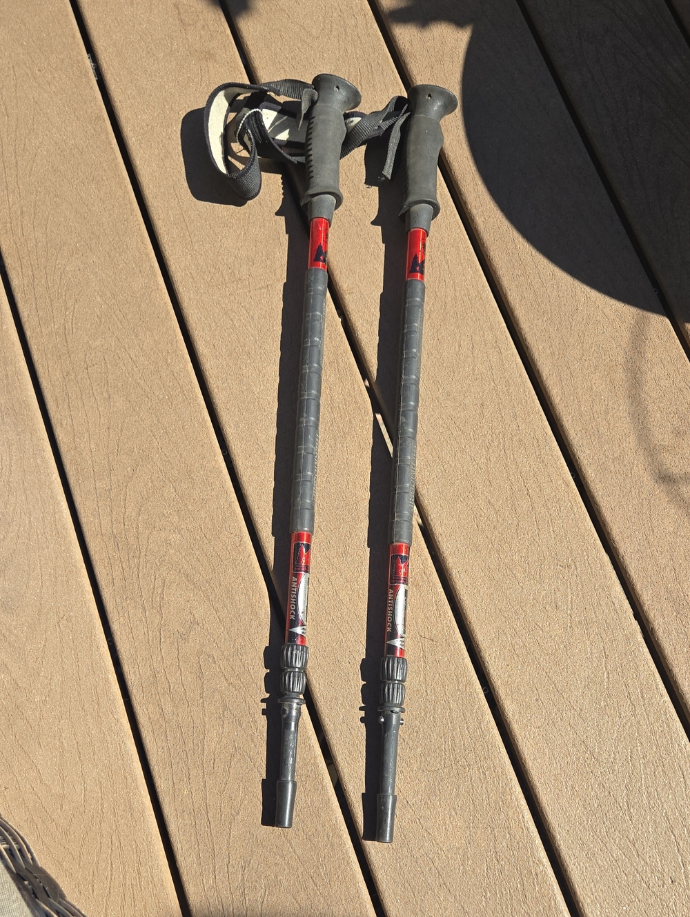 REI Co-op Trailbreak Antishock Trekking Poles